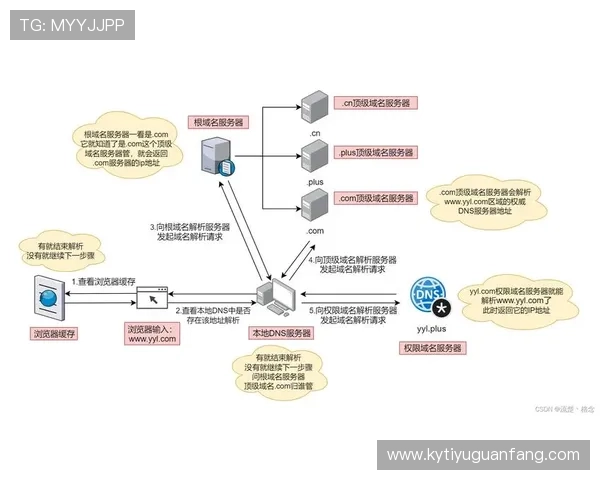 成功运营开云体育域名的实用技巧和经验分享